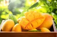 انبه؛ میوه‌ای خوش‌طعم با خاصیت دارویی برای زنان یائسه!