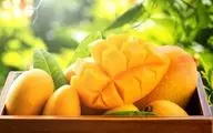 انبه؛ میوه‌ای خوش‌طعم با خاصیت دارویی برای زنان یائسه!