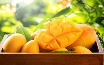 انبه؛ میوه‌ای خوش‌طعم با خاصیت دارویی برای زنان یائسه!