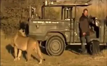 لحظه‌ای نفس گیر برای فیلمبردار حیات وحش