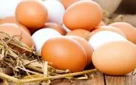 
قیمت یک شانه تخم مرغ در بازار چند؟
