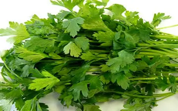 آب گشنیز چه تاثیری بر کنترل قندخون