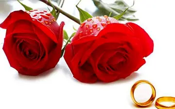 این زن 23 بار عروس شده است!+ عکس‌های خانم عروس را ببینید 