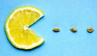 از خواص بی نظیر هسته لیمو ترش خبر دارید ؟ | فواید هسته لیمو ترش برای سلامتی
