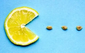 از خواص بی نظیر هسته لیمو ترش خبر دارید ؟ | فواید هسته لیمو ترش برای سلامتی