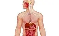 روزه داری  بر دستگاه گوارش چه تاثیری دارد؟