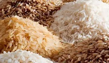 چرایی گران شدن قیمت برنج؟