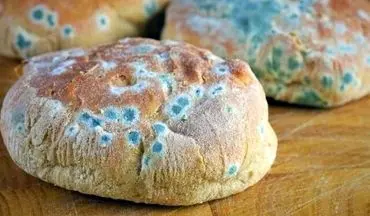 کپک خانگی را دست کم نگیرید باعث این بیماری نادر در ریه شما می شود