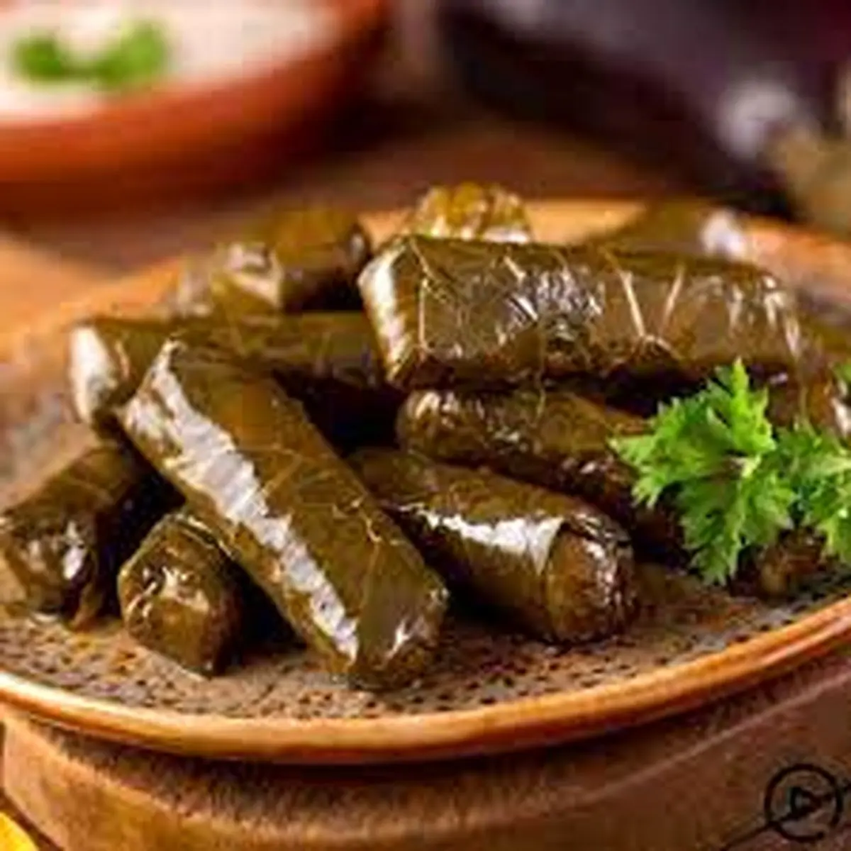 طرز تهیه این دلمه خیلی ساده س! | همه عاشقشن!