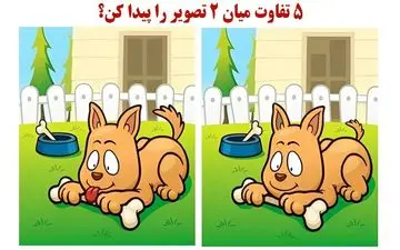 5 تفاوت میان این 2 سگ بامزه را سریع پیدا کن؟ + پاسخ