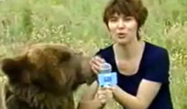  لحظه وحشتناک حمله ناگهانی خرس به خبرنگار زن