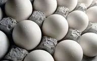توزیع تخم‌مرغ دولتی به قیمت شانه‌ای ۱۱ هزار و ۵۰۰ تومان