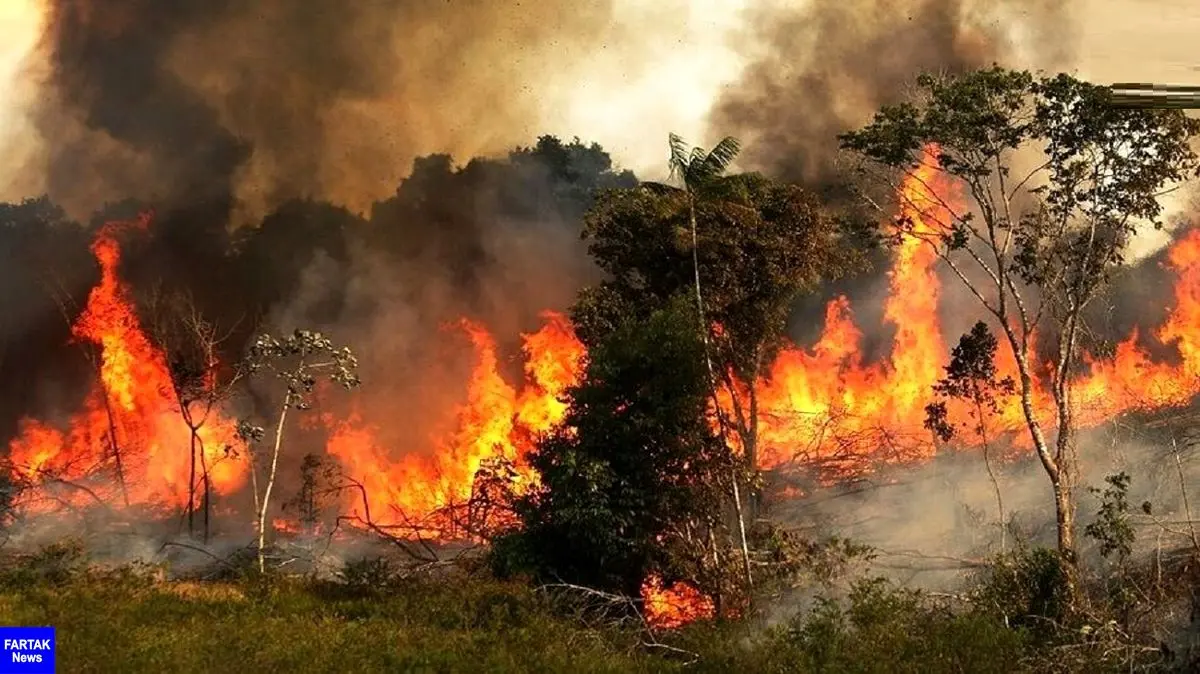 مرگ سه مرد روستایی در میان آتش های زاگرس / تنگه "هایقر" می سوزد
