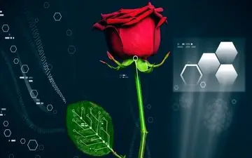 اولین گل جهان توسط دانشمندان بازسازی شد + عکس