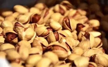 رونق در تولید و صادرات پسته ایرانی 