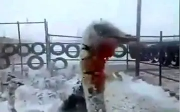 یخ زدن شترمرغ‌ها در اثر سرمای شدید افغانستان! + فیلم 