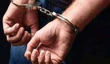 دستگیری عامل قتل مسلحانه 5 شهروند هرسینی ، در کمتر از 24 ساعت
