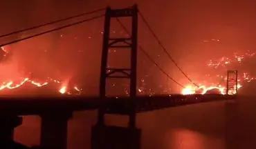 شعله‌های آتش درحال سوزاندن کالیفرنیا + فیلم