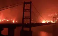 شعله‌های آتش درحال سوزاندن کالیفرنیا + فیلم