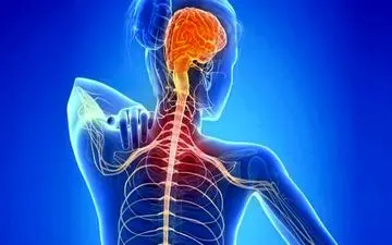 محققان در تلاش برای درمان ام اس