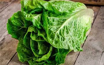 علت گرانی کاهو در هفته‌های اخیر چیست؟ + فیلم