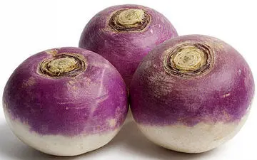 شغلم و خواص بی نظیر آن/ از درمان جوش صورت تا کاهش فشار خون