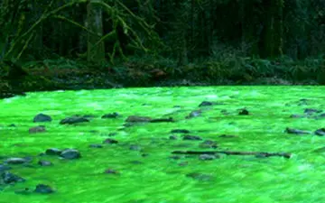 راز سبز شدن ناگهانی آب یک دریاچه در چین فاش شد! +فیلم 