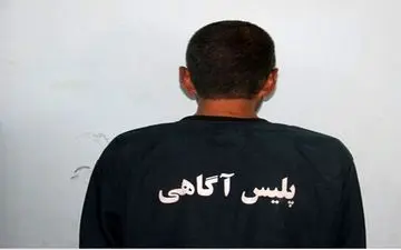 یک زابلی برای همکارش نقشه ای خبیثانه کشید