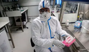 فرایند تشخیص کرونا در آزمایشگاه را ببینید
