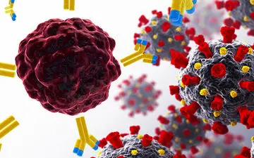 دلتای هندی در یک قدمی تهرانی ها