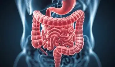 زنان در این سن و سال به مشکلات گوارشی مبتلا می‌شوند