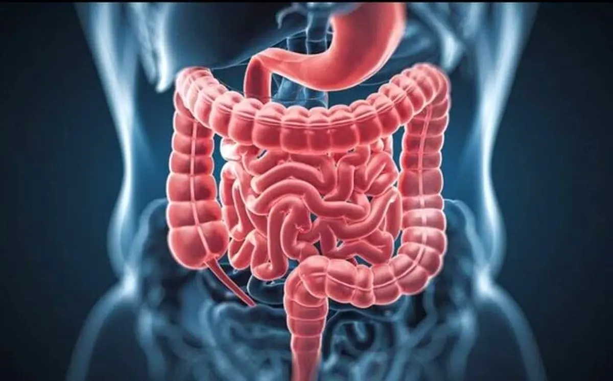 زنان در این سن و سال به مشکلات گوارشی مبتلا می‌شوند