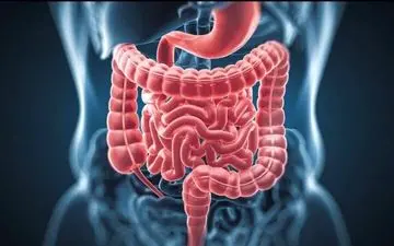 زنان در این سن و سال به مشکلات گوارشی مبتلا می‌شوند