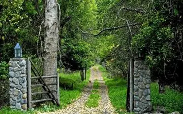  جنگل شروود ، جایی که در آن با رابین هود برخورد می کنید ‌