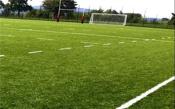 تشنج یکی از هواداران ملوان بازی را متوقف کرد + ویدئو