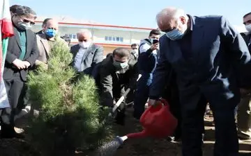 کاشت نهال به یاد جانباختگان کرونا / طرح هر خانه یک نهال در روستاها اجرا می شود