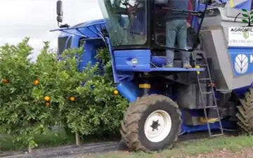 چیدن آسان میوه با ماشین کشاورزی مخصوص! 