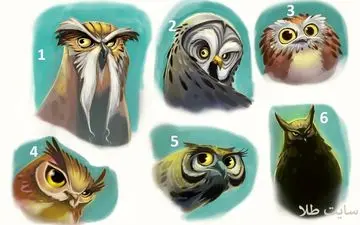 بگو کدوم جغد نظرت رو جلب کرده تا بهت بگم آینده شغلی چی است!