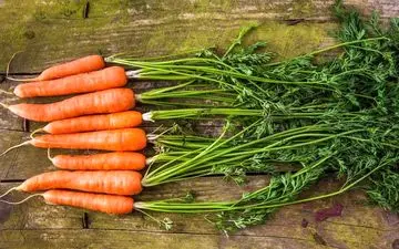 تفاله هایی که نباید دور بریزید