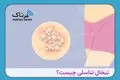 هشدار جدی؛ تبخال تناسلی؛ ویروسی که در خواب هم منتقل می‌شود!