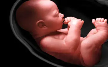 علت افزایش ناگهانی حرکات جنین