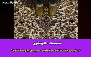 سوییچ در تصویر گم شده، ببینم در چند ثانیه می تونی پیداش کنی!
