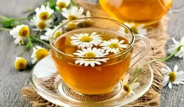 خواص فوق‌العاده بابونه و دمنوش آن/ گیاهی با هزار درمان!