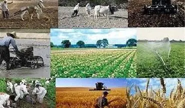  اعلام نرخ خرید تضمینی محصولات کشاورزی در سال ۹۷
