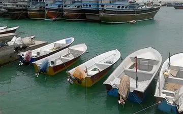 امیدواریم دولت سهمیه مناسبی در اختیار صیادان قرار دهد