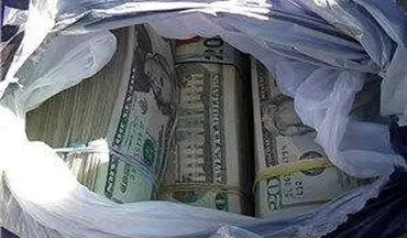 کشف دلارهای قاچاق با ارزش میلیاردی در محور بیستون - کرمانشاه 

