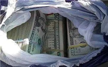 کشف دلارهای قاچاق با ارزش میلیاردی در محور بیستون - کرمانشاه 

