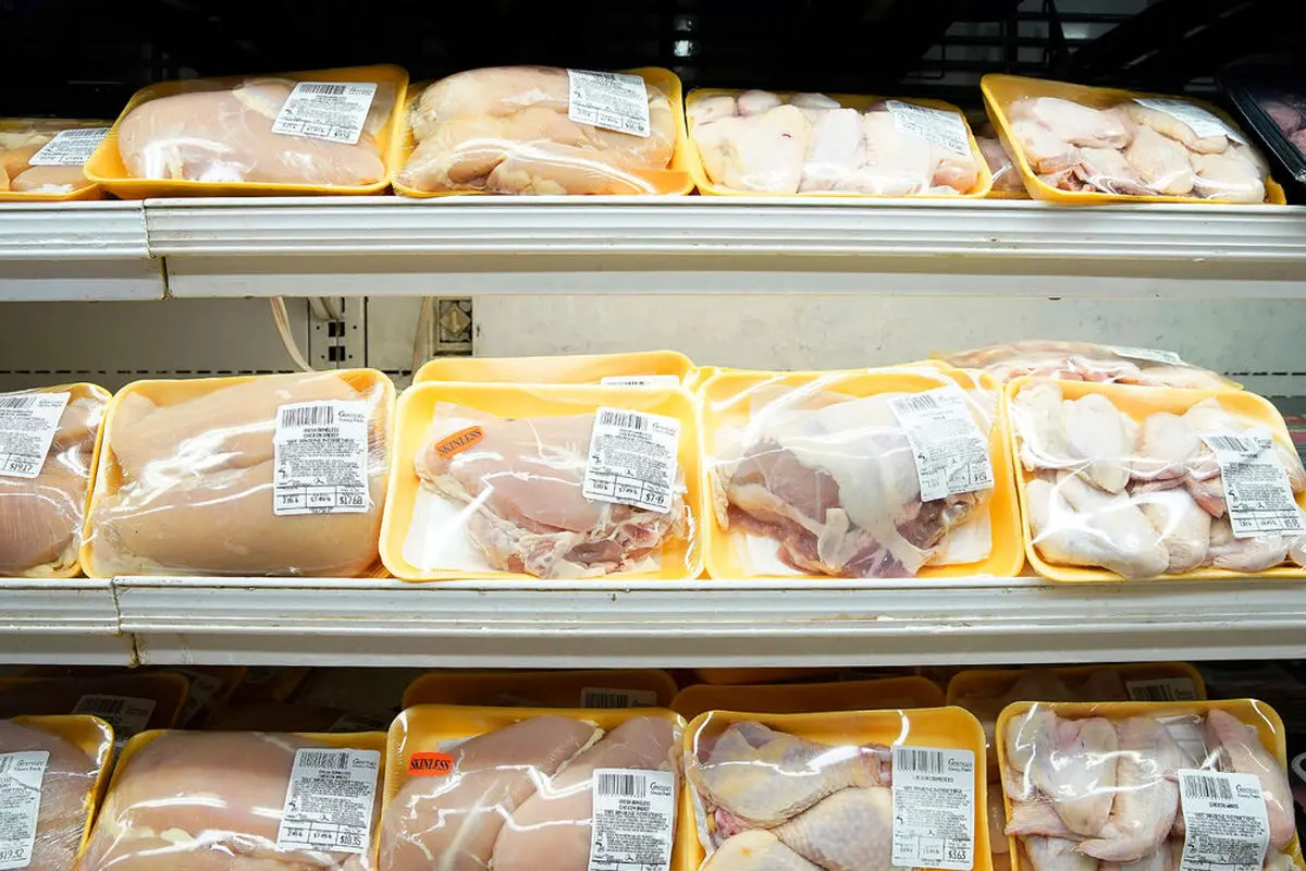 جدیدترین قیمت مرغ در بازار | گوشت مرغ برای مصرف کننده کیلویی چند شد؟