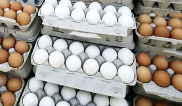 
تخم‌مرغ دوباره گران شد / دولت حذف یارانه نهاده را تکذیب کند، قیمت کاهش می‌یابد
