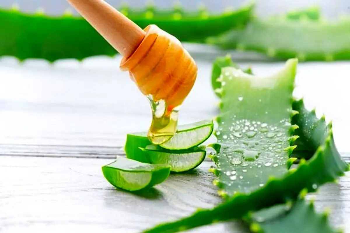 خواص سلامتی نوشیدن آب آلوئه ورا چیست؟